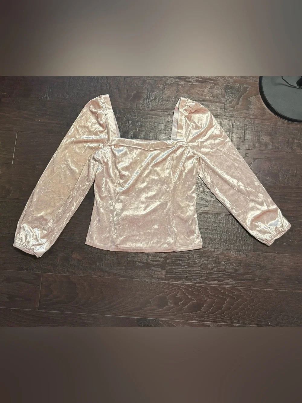 Anthropologie Jessima Neutral Blush Velvet Square Neck Puff Sleeve Top L